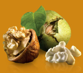produit-noix-fraiches.jpg